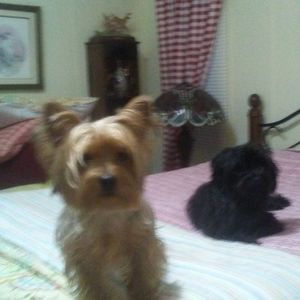 Meet your Posher, Peggy